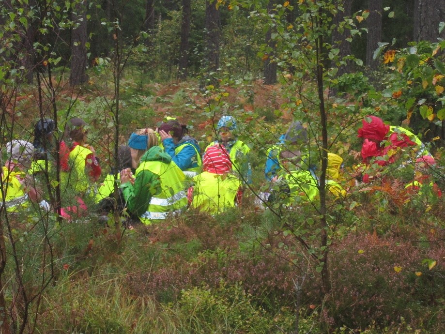 Torsö Skärgårdskooperativ